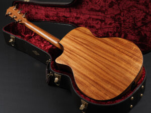 タイラー Hawaiian Koa ハワイアンコア K24ce K14ce K26e 722ce 314ce 414ce 814ce 714ce Limited Edition Special 限定品