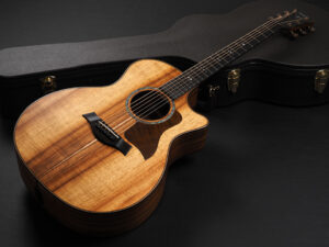 タイラー Hawaiian Koa ハワイアンコア K24ce K14ce K26e 722ce 314ce 414ce 814ce 714ce Limited Edition Special 限定品