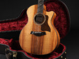 タイラー Hawaiian Koa ハワイアンコア K24ce K14ce K26e 722ce 314ce 414ce 814ce 714ce Limited Edition Special 限定品