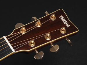 Brown Sunburst AC3R AC3M AC5R AC1R AC1M エレアコ 初心者 女子 女性 入門 ビギナー LL16 LL6 LS6 FS850 オール単板 日本製 Japan