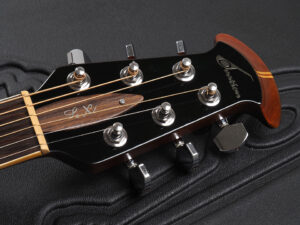 エリート レジェンド スタンダード STD Legend Celebrity CE44 CS24 CS24P エレアコ Made in USA アメリカ製 6868AX