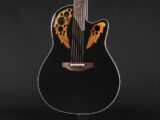 エリート レジェンド スタンダード STD Legend Celebrity CE44 CS24 CS24P エレアコ Made in USA アメリカ製 6868AX