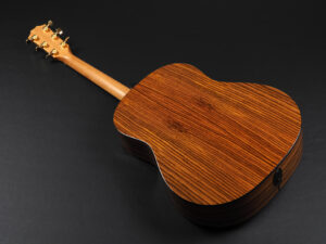 タイラー GP DN 117e 210ce 317e 110e 110ce DLX エレアコ Vintage Sunburst VS プラス 50周年 記念 Limited Edition 限定品