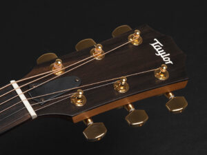 タイラー GP DN 117e 210ce 317e 110e 110ce DLX エレアコ Vintage Sunburst VS プラス 50周年 記念 Limited Edition 限定品