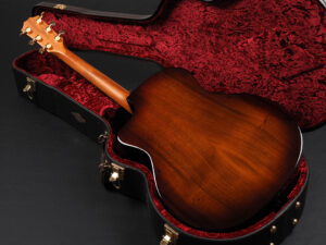 タイラー コア 314 214 114 big baby ハワイアンコア hawaiian GA エレアコ 200 DLX Series 214ce deluxe Grand Auditorium