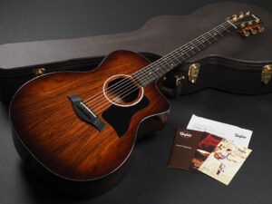 タイラー コア 314 214 114 big baby ハワイアンコア hawaiian GA エレアコ 200 DLX Series 214ce deluxe Grand Auditorium