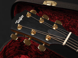 タイラー コア 314 214 114 big baby ハワイアンコア hawaiian GA エレアコ 200 DLX Series 214ce deluxe Grand Auditorium