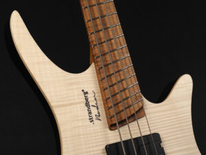 Ibanez EHB Steinberger Spirit headless Dingwall mayones Active