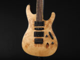 RG edwards E2 E-2 E-ll ESP jackson charvel hardtail