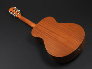 タイラー アカデミー エレアコ エレガット クラシック Classic Guitar Nylon Cordoba Godin martinez GS 女子 女性 子供 初心者 入門 ビギナー
