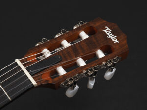 タイラー アカデミー エレアコ エレガット クラシック Classic Guitar Nylon Cordoba Godin martinez GS 女子 女性 子供 初心者 入門 ビギナー