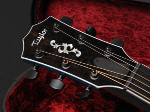 タイラー 714ce 414ce 314ce 814ce Builder's Edition 50周年 限定品 Limited Maple 青 Blue ブルー アクアマリン 水色 emerald