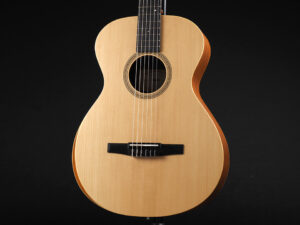 タイラー アカデミー エレアコ エレガット クラシック Classic Guitar Nylon Cordoba Godin martinez GS 女子 女性 子供 初心者 入門 ビギナー