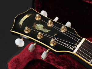 ES-335 Ibanez 寺田楽器 fujigen 富士弦 FGN John Scofield ジョンスコ ジョン スコフィールド JSM10 セミアコ 日本製 made in japan 国産