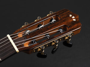 コルドバ ステージ ギター クラシック ガット ナイロン エレガット Nylon Classic Godin A6 Duet Acoustasonic Fender Multiac 青 ブルー 限定品