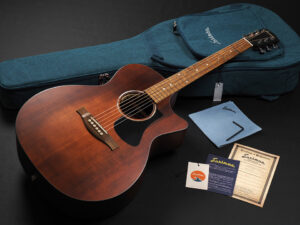 イーストマン 初心者 入門 ビギナー 女子 女性 子供 エレアコ YAMAHA CPX700II CPX600 APX700II APX600 A1 A1 Sunburst サンバースト SB VS