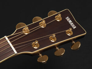LL6 LS-6 LS16 LL16 CPX L series fg fs compass A AC APX エレアコ 初心者 入門 ビギナー 女子 ナチュラル NT NAT fork シニアNT NAT