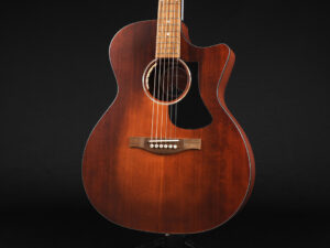 イーストマン 初心者 入門 ビギナー 女子 女性 子供 エレアコ YAMAHA CPX700II CPX600 APX700II APX600 A1 A1 Sunburst サンバースト SB VS