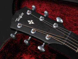 タイラー V Class GA Hawaiian Koa Mahogany エレアコ 814ce 314ce 714ce 512ce 414ce ビルダーズ エディション フィンガーピッカー