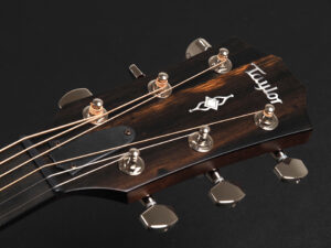 タイラー V Class クラス 114ce 214ce 414ce エレアコ ブレーシング GA Grand auditorium ES2 女子 女性 子供 Slim neck スリム ネック