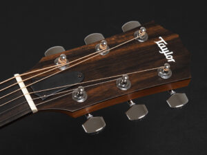 タイラー 114ce 112ce 212ce 314ce Rosewood ローズウッド walnut ウォルナット エレアコ ES2 初心者 入門 女子 ビギナー 子供 Plus プラス GA NT