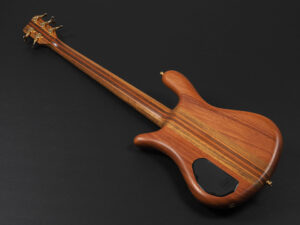 Spector Streamer Corvette Thumb Custom Shop Master Build NS EURO Rock ワーウィック 5 弦 String 多弦 active アクティブ wide Fat