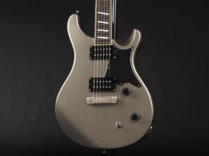 PRS ポール リード スミス カスタム 22 STD standard santana S2 Blue natural les paul