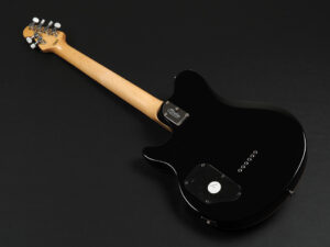 EVH Peavy HP Van Halen Tak 松本 B'z ヴァンヘイレン アクシス アクシズ wolfgang ウルフギャング Special Standard Signature