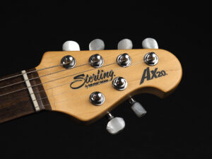 EVH Peavy HP Van Halen Tak 松本 B'z ヴァンヘイレン アクシス アクシズ wolfgang ウルフギャング Special Standard Signature