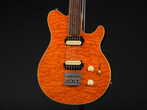 EVH Peavy HP Van Halen Tak 松本 B'z ヴァンヘイレン アクシス アクシズ wolfgang ウルフギャング Special Standard Signature