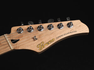 Fender Squier Bacchus Fernandes Aria History 国産 日本製 MIJ Made in Japan telecaster TL テレキャスター