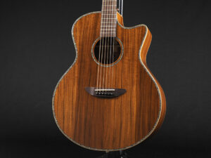 ディーシーティー Takamine yamaha 初心者 入門 女性 女子 エレアコ hawaiian koa コア材 ハワイアンコア 小型 小ぶり 000 OOO OM VR-640K 300CE