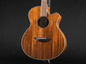 ディーシーティー Takamine yamaha 初心者 入門 女性 女子 エレアコ hawaiian koa コア材 ハワイアンコア 小型 小ぶり 000 OOO OM VR-640K 300CE