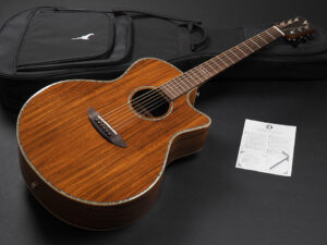 ディーシーティー Takamine yamaha 初心者 入門 女性 女子 エレアコ hawaiian koa コア材 ハワイアンコア 小型 小ぶり 000 OOO OM VR-640K 300CE