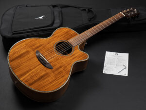 ディーシーティー Takamine yamaha 初心者 入門 女性 女子 エレアコ hawaiian koa コア材 ハワイアンコア 小型 小ぶり 000 OOO OM VR-640K 300CE