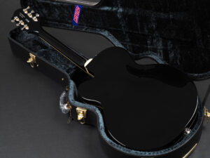グレッチ 6120 6119 Tennessee Rose テネシアン テネシーローズ 浅井健一 ジョージ ハリスン George Harrison Beatles チバユウスケ 黒 BLK BK