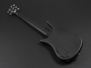 Spector Streamer Corvette Thumb NS EURO Rock ワーウィック active アクティブ ロックベース