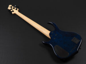 Fender Bacchus Warwick ibanez Fujigen YAMAHA Sadowsky MTD 5弦 5st アクティブ
