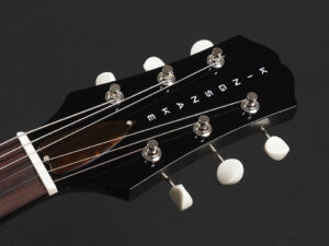 キングスネイク キングスネーク ソウルヴィル ソウルビル Jazz Guitar Full Acoustic フルアコ ジャズ Blues ブルース Dual Pickup ビザール bizarre