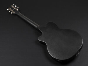 キングスネイク キングスネーク ソウルヴィル ソウルビル Jazz Guitar Full Acoustic フルアコ ジャズ Blues ブルース Dual Pickup ビザール bizarre