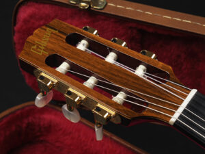 チェット アトキンス Godin Classic Duet Nylon Encore エレガット solid ナイロン クラシック ゴダン デュエット acoustasonic Gut ガット 90s
