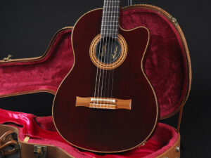 チェット アトキンス Godin Classic Duet Nylon Encore エレガット solid ナイロン クラシック ゴダン デュエット acoustasonic Gut ガット 90s