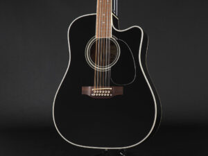 高峰 タカミネ 12弦ギター 12Sst ptu DMP EF341SC 261C 200 381SC EF360GF Eagles Glenn Frey Bon Jovi グレンフライ ボンジョビ