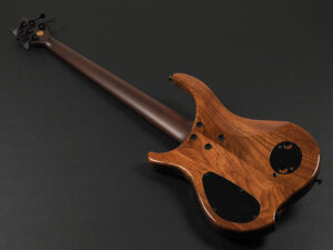 Dingwall Afterburner II XXX 5st ken Smith Z3 NG-3 Combustion Fodera Alembic Spector