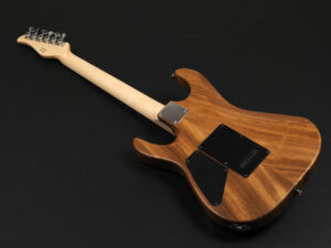 Tom Anderson Schecter Suhr momose Bacchus ESP Edwards 日本製 国産 Made in japan