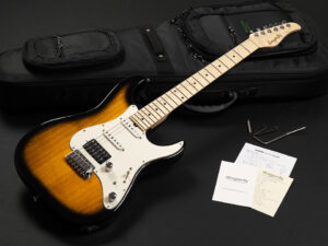 Tom Anderson Schecter Suhr momose Bacchus ESP Edwards 日本製 国産 Made in japan