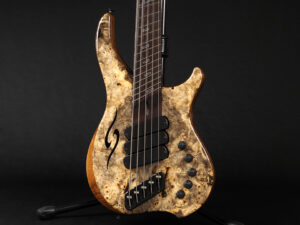 Dingwall Afterburner II XXX 5st ken Smith Z3 NG-3 Combustion Fodera Alembic Spector