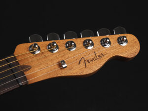 American プレイヤー アコースタソニック テレキャスター エレアコ 薄型 thin body Godin A6 taylor T5 King Gnu 常田大希 miyavi ピンク Pink