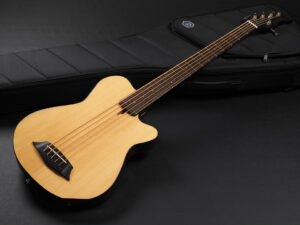 Godin Multiac A5 Ultra Acoustic エレアコ アコベ