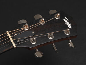 タイラー 114ce 414ce 314ce 2020 ローズウッド DLX deluxe エレアコ electric acoustic ES2 初心者 入門 プラス RW ローズ + koa 224
